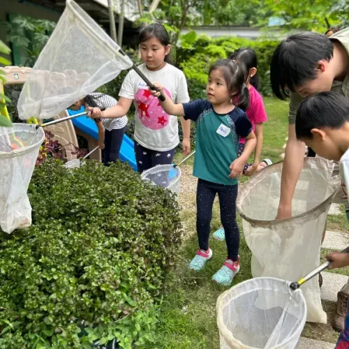 Bugs exploration birthday party for kids in Singapore