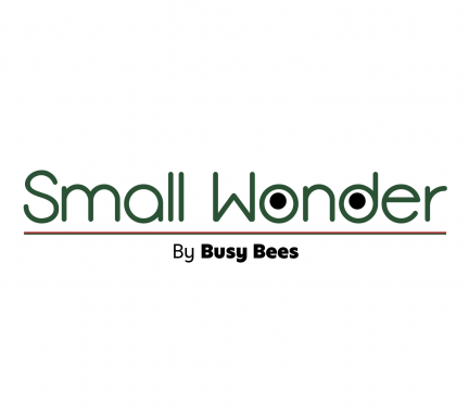 Small Wonder Preschool