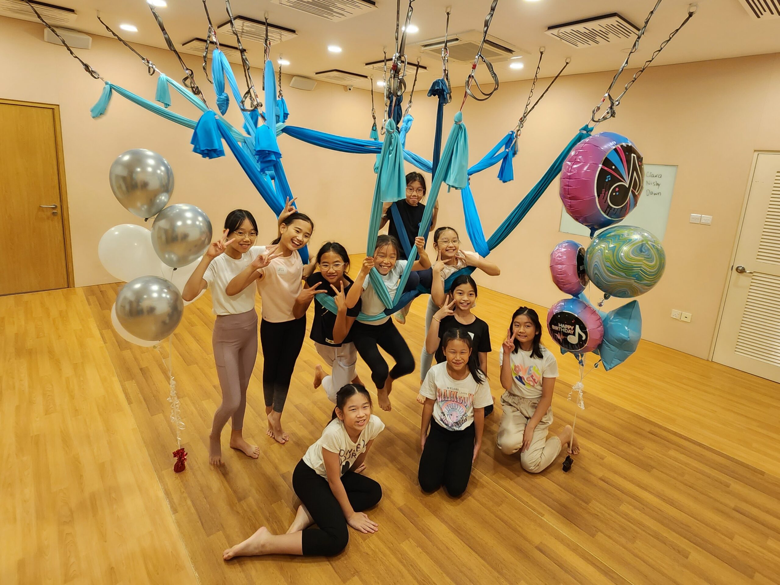 Maya's Aerial Birthday Party