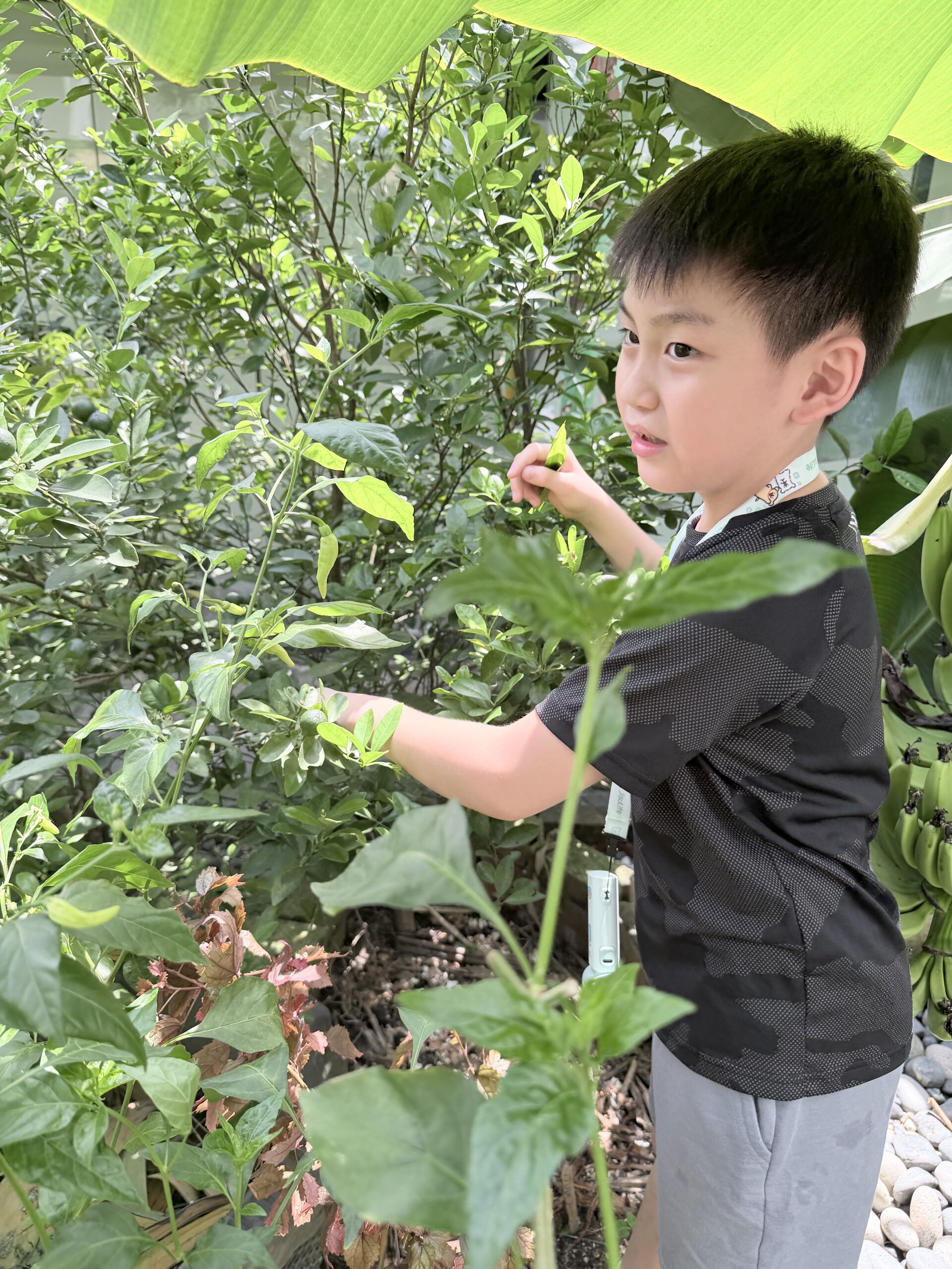 Children gardening at Singapore kids holiday camp