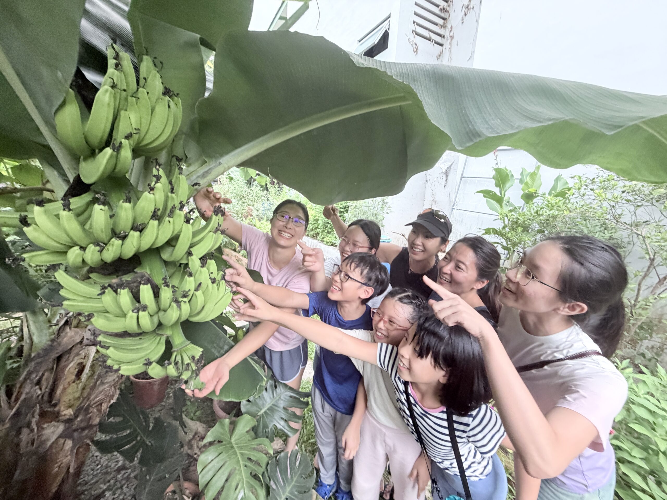 Children learning organic farming and gardening at Singapore holiday camp