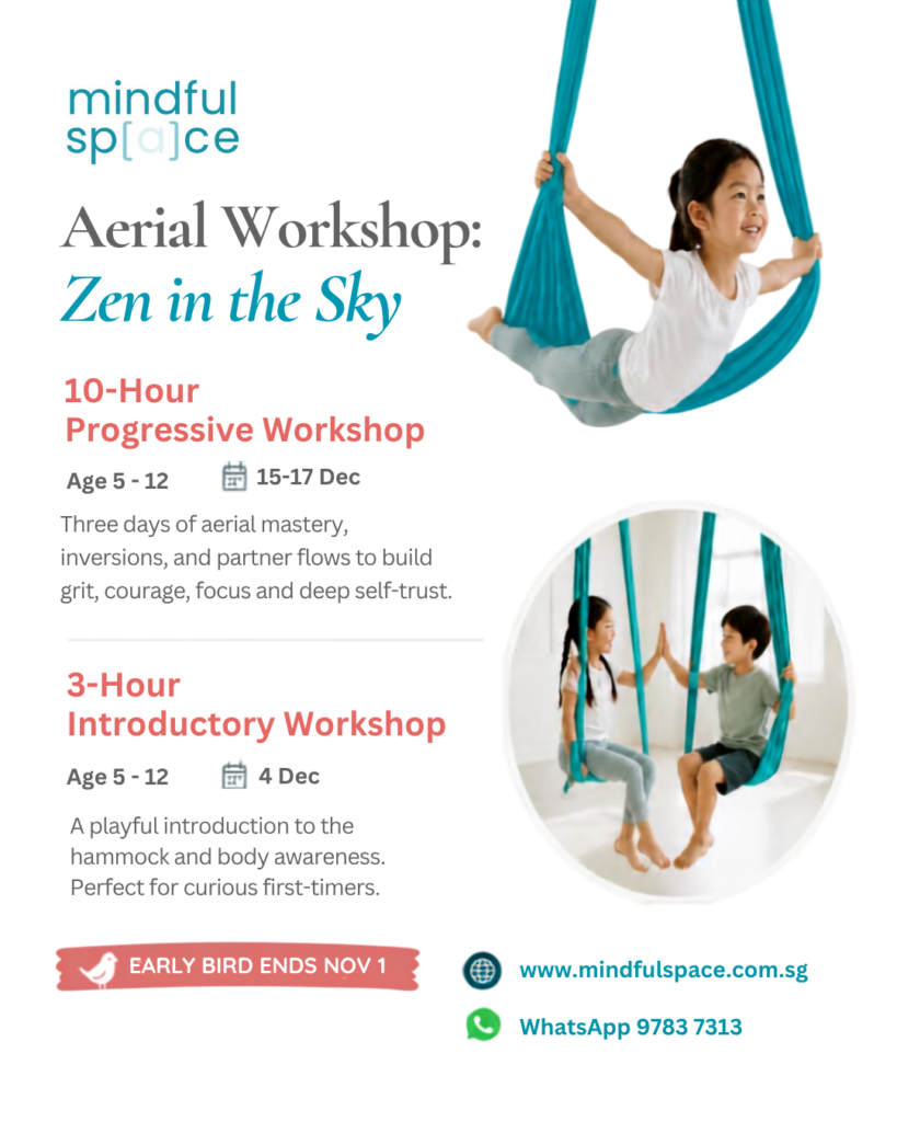Zen in the Sky aerial workshop for kids aged 5 to 12